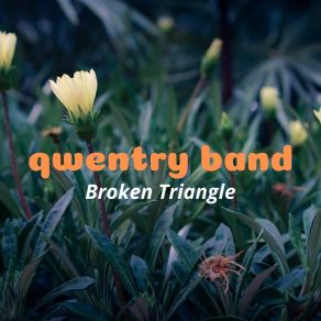 Download track Lost In The Middle Qwentry Band