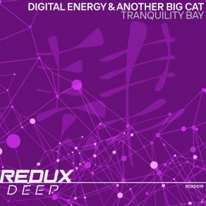 Download track Tranquility Bay (Extended Mix) Another Big Cat