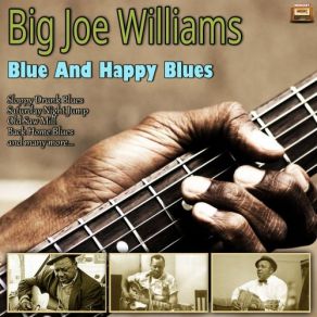 Download track Sinking Blues Big Joe Williams