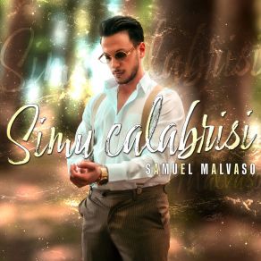 Download track Mi Stai Provocandu Samuel Malvaso