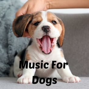 Download track Soothing Sounds Calm Pets Music Academy