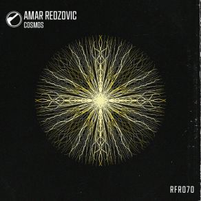 Download track Cosmos (Original Mix) Amar Redzovic