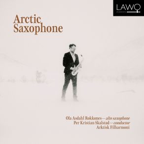 Download track 13 - Arctic Lines - III. Arctic Landscapes Ola Asdahl Rokkones