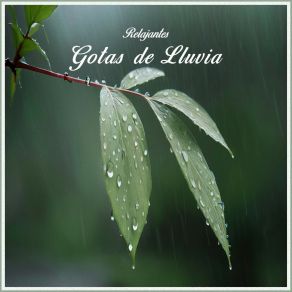 Download track Sonidos De Gotas De LLuvia Para Relajarse, Pt. 18 Cascada De Lluvia