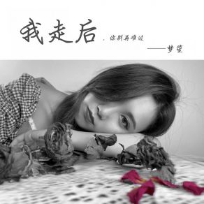 Download track 我走后 梦笙