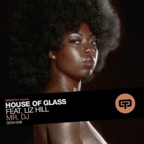 Download track Mr Dj Gianni'bini'is A Dj Vocal Mix House Of Glass, Liz Hill