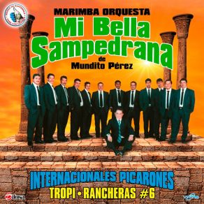 Download track Tropirancheras 6: El Regreso Del Alambrado / Tres Veces Te Engañé / Porque Te Fuiste / Tu Camino Y El Mío Marimba Orquesta Mi Bella Sampedrana