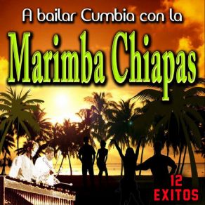 Download track Lo Dejaria Todo Marimba Chiapas