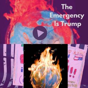 Download track The Emergency Is Trump 6 Cameron Glenn