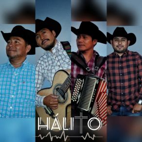 Download track Solamente Tu Grupo Halito