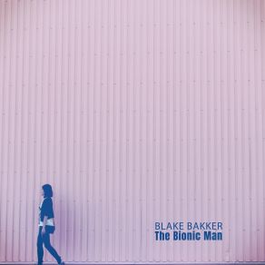 Download track Real Life (Doo Mix) Blake Bakker