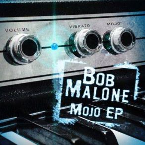 Download track I'm Not Fine Bob Malone