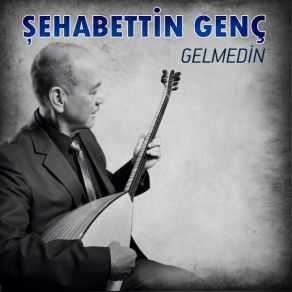 Download track Gelmedin Şehabettin Genç