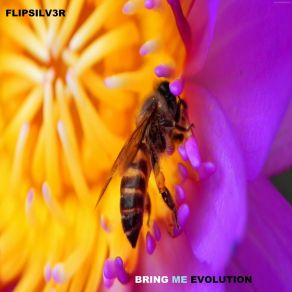 Download track Revolution Technology FLIPSILV3R