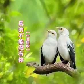 Download track 真的不能没有你 (DJ对唱版伴奏) 沁心小筑