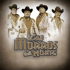 Download track El Amor Nunca Se Vende (En Vivo) Los Morros Del Norte