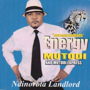 Download track Nyika YeZimbabwe Energy Mutodi