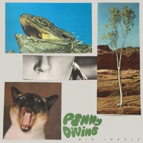 Download track Silver Lining Penny Diving