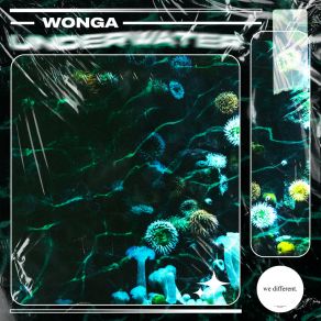 Download track Underwater (Extended) Wonga