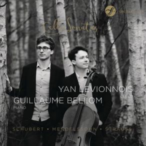 Download track Sonata For Arpeggione And Piano In A Minor, D. 821: II. Adagio Yan Levionnois, Guillaume Bellom