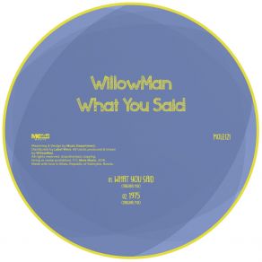 Download track 1975 (Original Mix) WillowMan