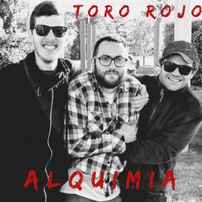 Download track Círculos Entre Cuadrados Toro Rojo