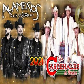 Download track Dos Seres Que Se Aman (En Vivo) Los Alameños De La SierraCardenales De Sinaloa