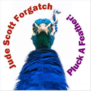 Download track Chicken Feet Jude Scott Forgatch