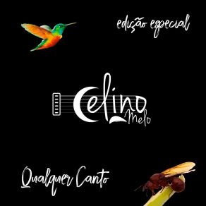 Download track Um Grito Celino Melo