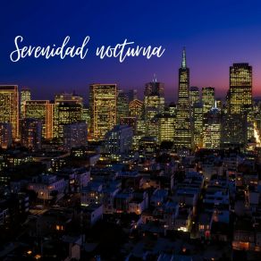 Download track Serenidad Nocturna Tranquilidad Nocturna