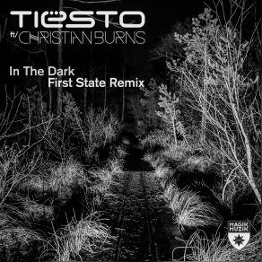 Download track In The Dark (First State Extended Remix) Christian Burns, DJ Tiësto