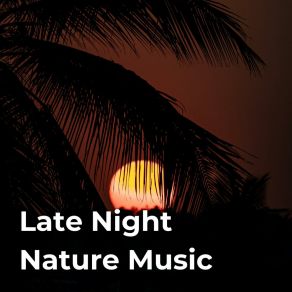 Download track 432 Hz Floating Points NeightbirdsEarthlite, Feathern, Lively Nature Sounds