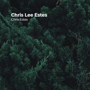 Download track Back To Mississippi Chris Estes