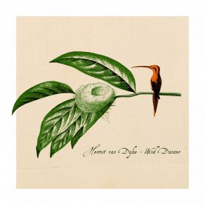 Download track Song Of The 4Th Floor Hermit Van Dyke