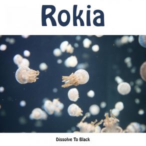 Download track Rokia Dissolve To Black