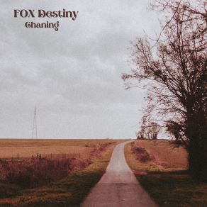 Download track So Many Stars FOX Destiny