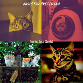 Download track Music (Kittens) Music For Cats Prime