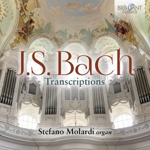 Download track Trio Sonata In E-Flat, BWV 525 III. Allegro Stefano Molardi