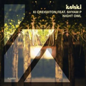 Download track Night Owl (Secondcity Extended Remix) KI Creighton, Shyam P