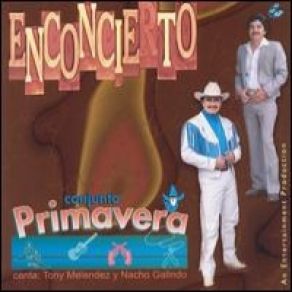 Download track De Nuevo A Tu Lado Conjunto Primavera