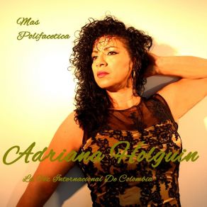 Download track Volvamos Por Amor Adriana Holguin