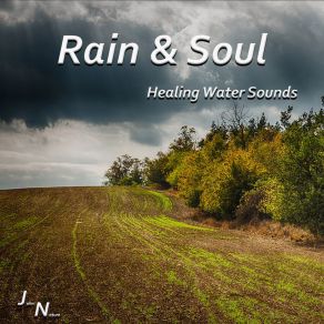 Download track Rain With Thunder John Nature