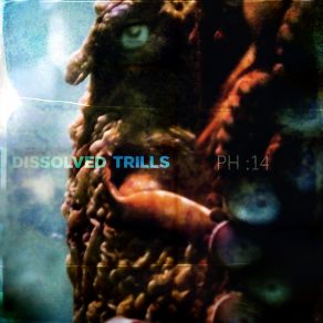 Download track Digit Hazer Dissolve, The Thrills