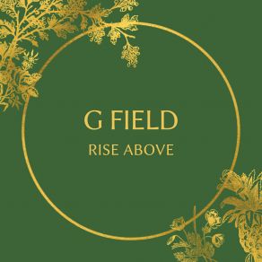 Download track Have You Ever G-Field