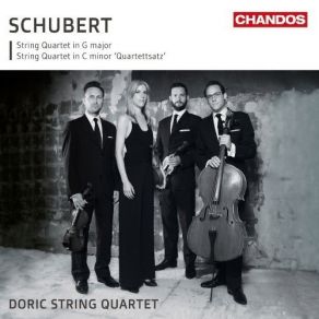 Download track 2. Quartet In G Major D887 - I. Allegro Molto Moderato Franz Schubert