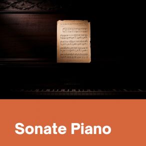 Download track Sonate Violoncello Piano No. 2 G Minor, Op. 5: II. Allegro (Rondo) Ludwig Van BeethovenRondo