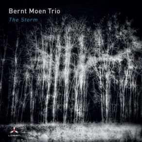 Download track A Sense Of Urgency Bernt Moen Trio