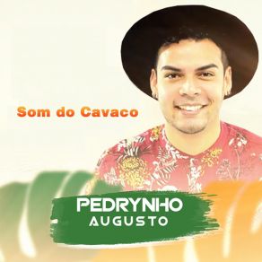 Download track Vamos Ou Bora Pedrynho Augusto