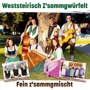 Download track Flo-Boarischer Weststeirisch Z'sammgwürfelt