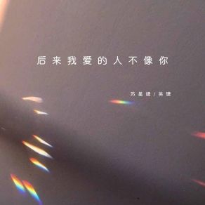 Download track 后来我爱的人不像你 (伴奏) 苏星婕